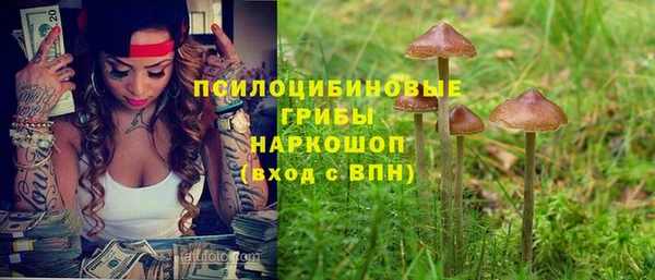 каннабис Баксан
