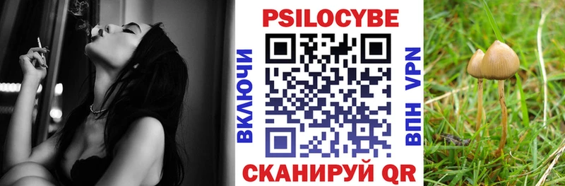 Псилоцибиновые грибы Psilocybe  дарнет шоп  сайты даркнета Telegram  Волчанск 